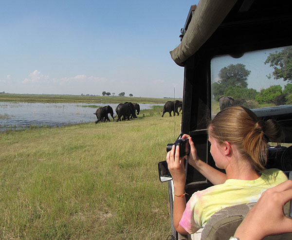 On safari in northern Botswana